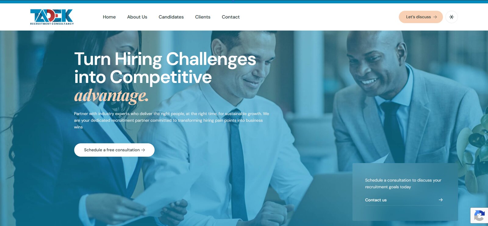 Software Logo Design Tadek — logo & brand identity – Hills Integrated